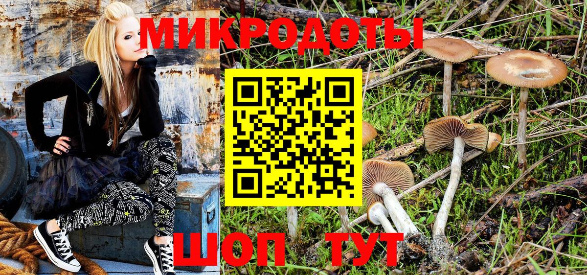Галлюциногенные грибы Cubensis Курчалой