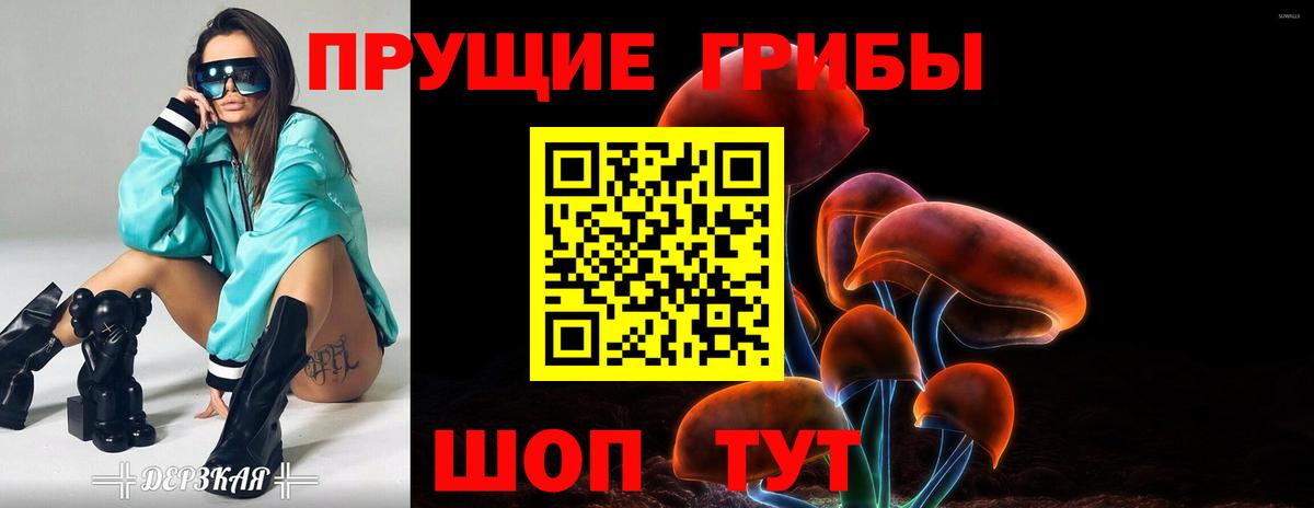 Галлюциногенные грибы мицелий  Вход с VPN  Галлюциногенные грибы мухоморы  Курчалой 