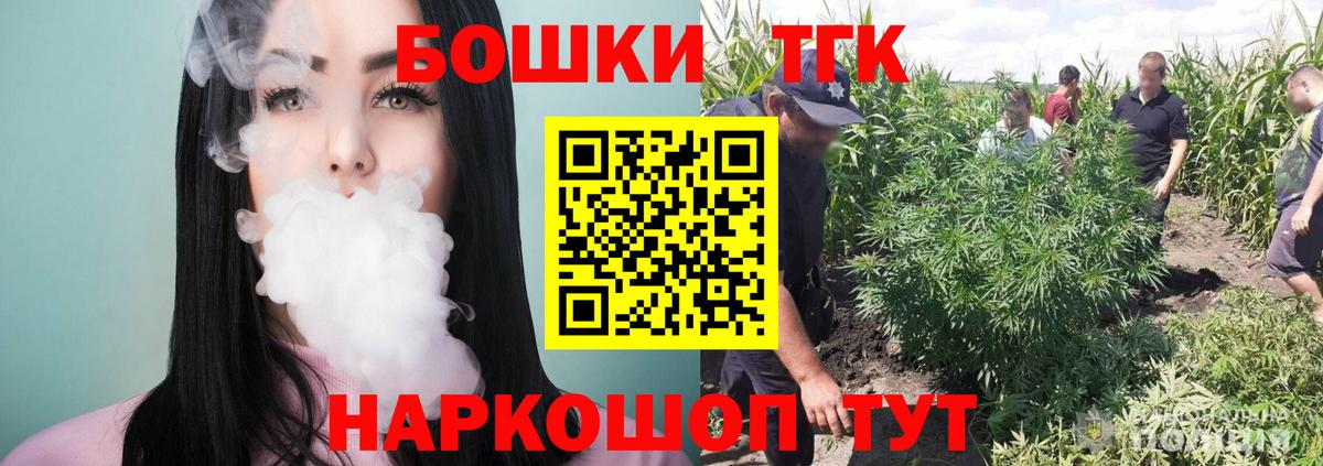 Конопля сатива Курчалой